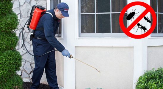 Sincan Dezenfeksiyon böcek ilaçlama ve haşere kontrolü — ilaclama-tr.com